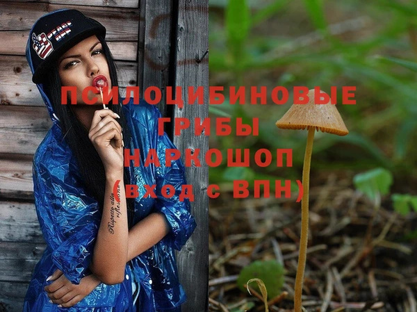 spice Пестово