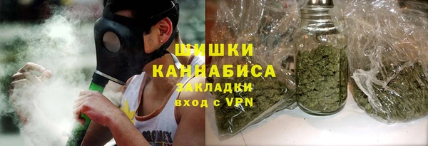 spice Пестово