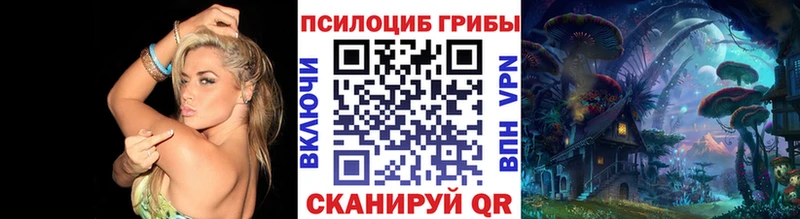 Псилоцибиновые грибы мухоморы  shop клад  Апатиты 