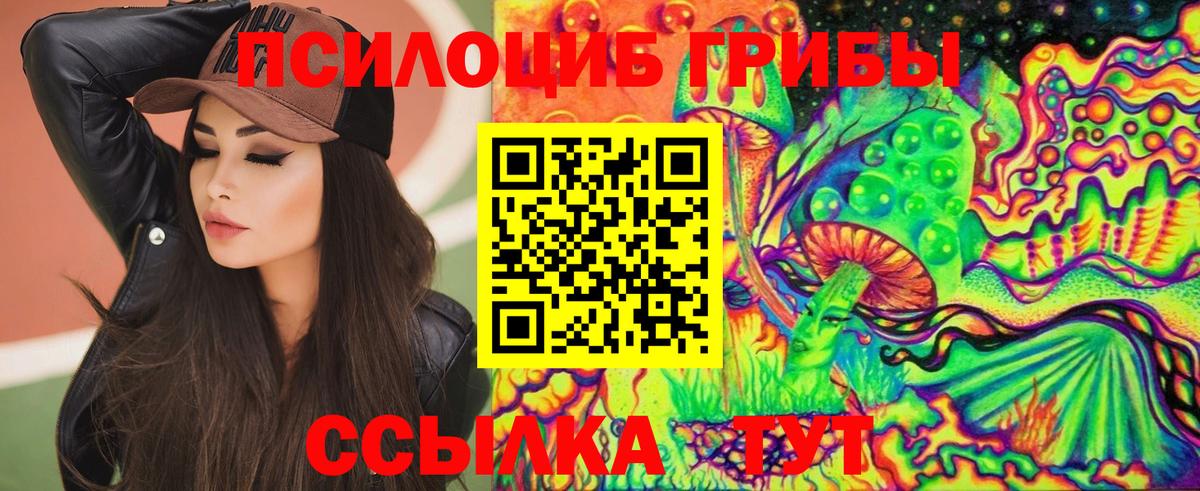 Галлюциногенные грибы Cubensis Апатиты