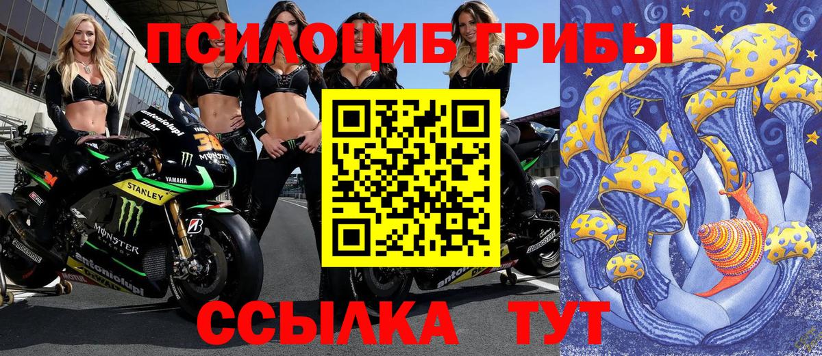 Псилоцибиновые грибы прущие грибы  Апатиты  Галлюциногенные грибы прущие грибы 