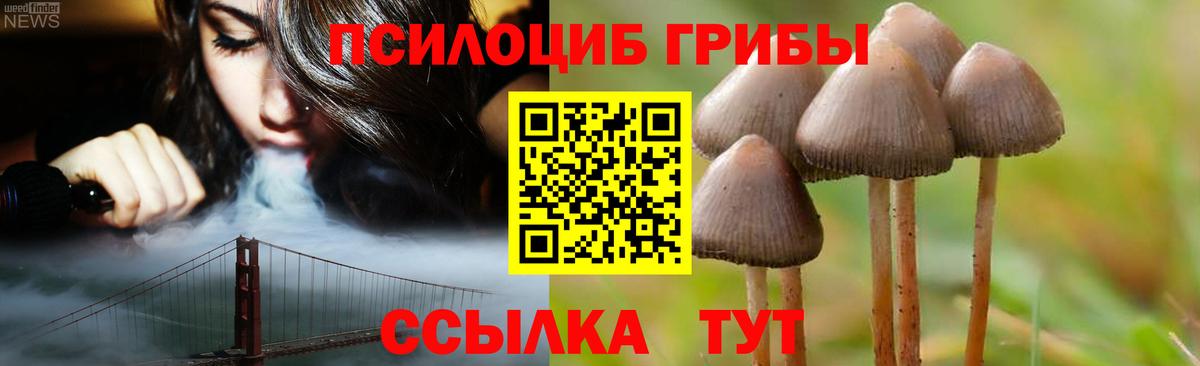 Апатиты  Псилоцибиновые грибы Psilocybe  Галлюциногенные грибы Psilocybine cubensis  сколько стоит  Вход с VPN 