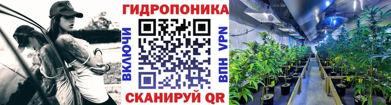 продажа наркотиков  OMG зеркало  Бошки Шишки сатива  Апатиты 